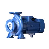 Насосный агрегат моноблочный фланцевый PURITY PSTG 100-200/300 (N)