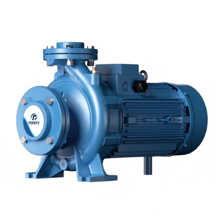 Насосный агрегат моноблочный фланцевый PURITY PSTC 80-125/55 (N)